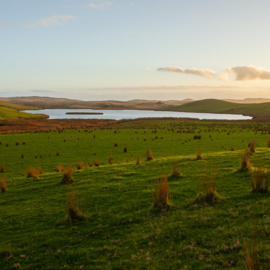 Archives des NouvelleZélande Et si on se lançait